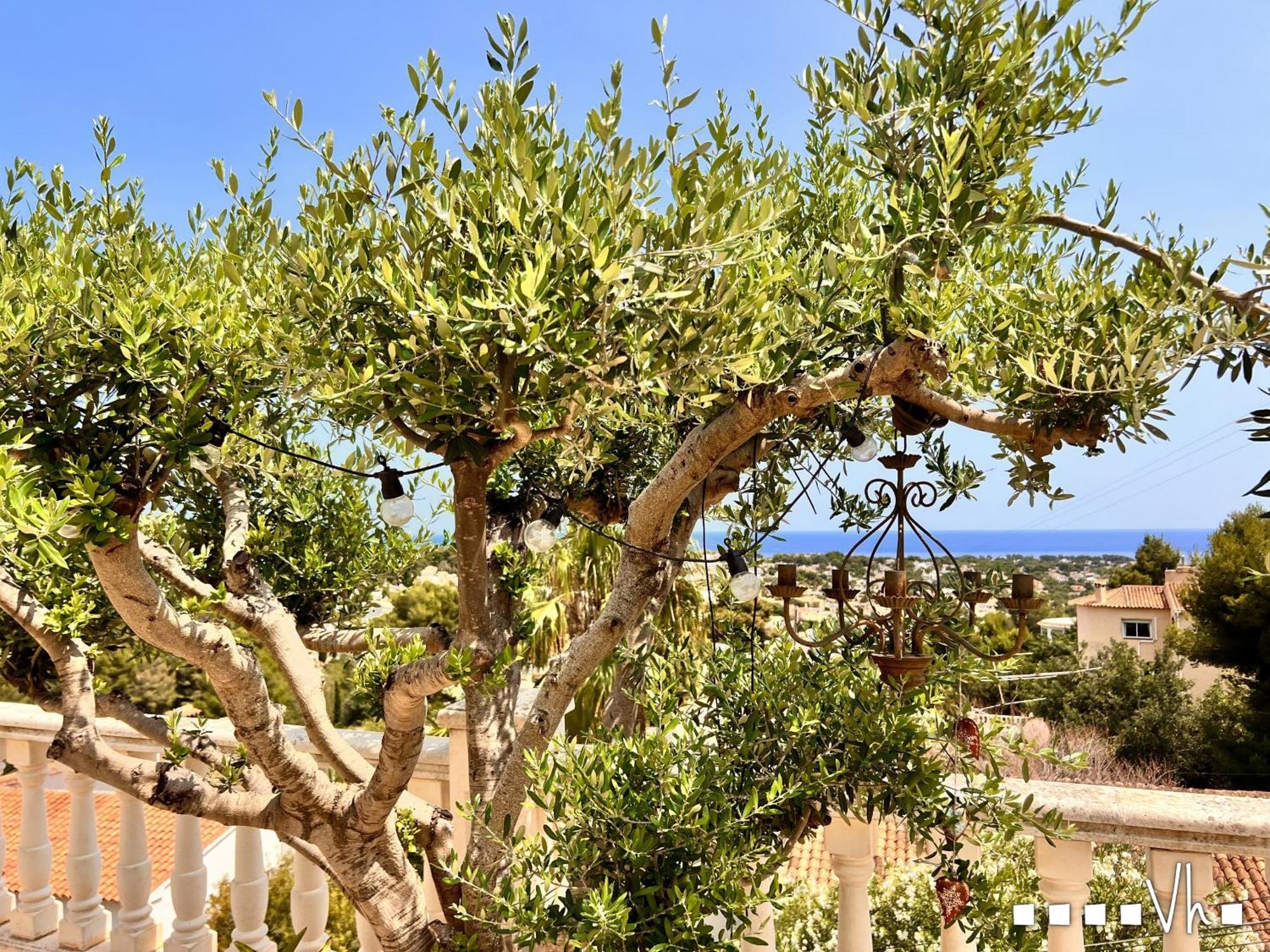 Vh Costablanca - Zen Villa Benissa Exterior foto